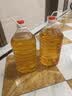 言妤2.5L5L10升20斤装透明食用塑料花生油桶水油壶油瓶酒桶酒瓶 11升/足20斤(加厚) 2个 实拍图