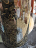 以山堂霜后桑叶茶500克桑树叶桑葚霜桑叶新鲜无中药材桑叶干 桑叶茶 250g*2罐 优质无硫 实拍图