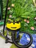 KARCHER德国卡赫 不锈钢桶式吸尘器 干湿两用 工业商用开荒保洁地毯宠物大吸力大功率吸尘器 实拍图