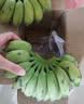 广西小米蕉当季水果小鸡米蕉新鲜自然熟香蕉放熟吃兰和 3斤装 晒单实拍图