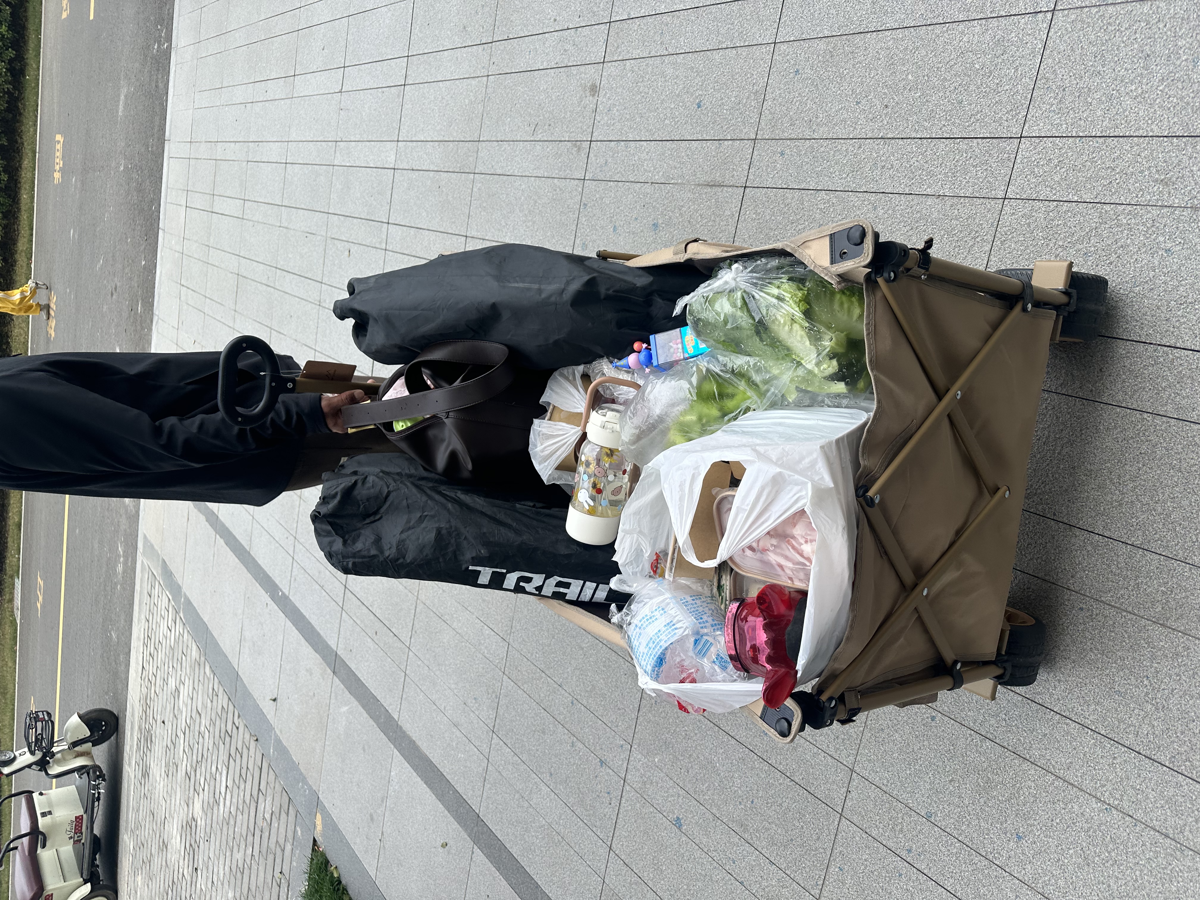 UPDOWN露营车折叠推车四向聚拢型户外可坐人躺遛娃大号特大号营地野餐车 600L聚拢加大款-卡其色【后开拖斗+减震轮+折叠桌板】 实拍图