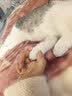 妙三多幼猫成猫猫咪疫苗妙三多猫瘟猫鼻支嵌杯病毒猫三联首次疫苗预防针 国产妙三多*3+高端狂犬 1瓶*1袋 实拍图