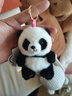 威尔通（WELTSTON）成都大熊猫挂件玩偶毛绒玩具公仔生日礼物女生男生钥匙链背包挂坠 实拍图