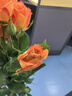 玫瑰百合向日葵云南鲜花生活鲜花昆明鲜花花束源头直发鲜花速递2 多头玫瑰橙色芭比5枝 实拍图