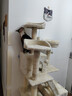华元宠具（hoopet）猫爬架超大型猫窝猫树一体特大号猫爬柱猫架子猫玩具用品猫咪别墅 实拍图