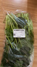 大菠菜300g 实拍图