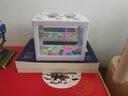 桌面鱼缸小型家用积木缸生态缸水族箱斗鱼缸带小夜灯氛围灯摆件 白色鱼缸两个灯+小号夜光石约50颗 实拍图
