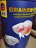海豚招财鱼专用饲料 地图鱼发财鱼战船鱼食招财鱼料 观赏鱼粮大颗粒 招财鱼饲料720g/上浮【1瓶】 晒单实拍图