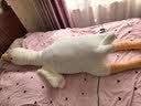 熊猫熊大白鹅睡觉抱枕夹腿长条玩偶娃娃超大号毛绒玩具女孩生日礼物女生 实拍图