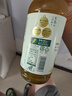 麒麟日本进口生茶绿茶原味凉茶饮料525ml*24整箱 生茶 实拍图