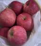 京鲜生烟台红富士苹果 净重900g 单果160-190g 生鲜水果 实拍图
