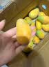 凯特芒 青黄皮 新四川热带水果芒果新鲜水果应当季生鲜 带箱4斤 中大果300g+ 实拍图