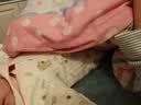 童泰（TONGTAI）婴儿套装春秋季纯棉新生儿衣服宝宝和尚服满月服上衣裤子棕色66cm 实拍图