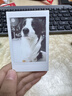富士（FUJIFILM）拍立得相机相纸3寸迷你胶片mini SE/12/41/99/liplay/evo/link 3/7+/8/9/11/25/40//90/SP2相片纸 白边20张+相册+边框贴* 实拍图