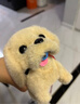 Honey Joy仿真毛绒儿童玩具狗狗会走路会叫电动小狗宠物狗金毛礼物 实拍图