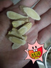 福东海 甘肃精选 黄芪片400克 北芪片黄苓 可搭生黄芪泡水党参养生茶 实拍图