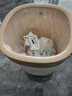 ecoco垃圾桶8L家用压圈自动打包卫生间客厅卧室厨房厕所垃圾篓E24216黄 实拍图