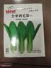 ldeal理想农业 鸡毛菜种子小青菜种籽易活盆栽家庭四季易种植蔬菜种子 实拍图