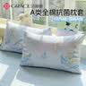 洁丽雅（Grace）枕套A类100%全棉7A抗菌面料 吸汗枕头套 云帆小熊 一对装 48*74cm 实拍图