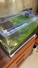 森森超白桌面小鱼缸生态玻璃缸水草缸客厅造景金鱼缸HWK-420P裸缸 实拍图