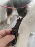 PPO狗狗牵引绳背心式遛狗绳子泰迪柯基狗绳中型犬小型犬宠物用胸背带 胸背+2米绳【红色】 S码【合适10-18斤用】 实拍图