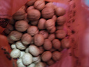 新边界新疆薄皮大核桃1000g 2025年新货坚果炒货手剥量贩原味特产 实拍图