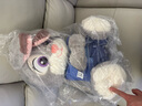 迪士尼（Disney）疯狂动物城2朱迪玩偶毛绒玩具抱睡50cm坐姿大公仔女孩生日礼物 实拍图