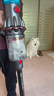 戴森（DYSON）V12 Detect Slim Fluffy家用清洁手持无线除螨吸尘器光学显尘 智能大吸力车载 宠物家庭换季礼物 实拍图