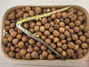 长白山青松邑 东北山榛子 新货原味500g 薄皮长白山特产 休闲零食 大颗粒  净重1斤 实拍图