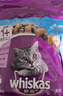 伟嘉成猫猫粮全价粮1.3kg海洋鱼味夹心粮布偶蓝猫橘猫 实拍图