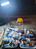 云启格充电灯泡摆摊LED地摊灯应急照明灯家用移动式户外夜市停电露营灯 【专业版】爆亮广角灯|电量显示|5-12h续航 实拍图
