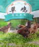 超霸（GP）2号中号电池2粒*5碱性中号电池适用于收音机/手电筒/玩具电池/热水器等 实拍图