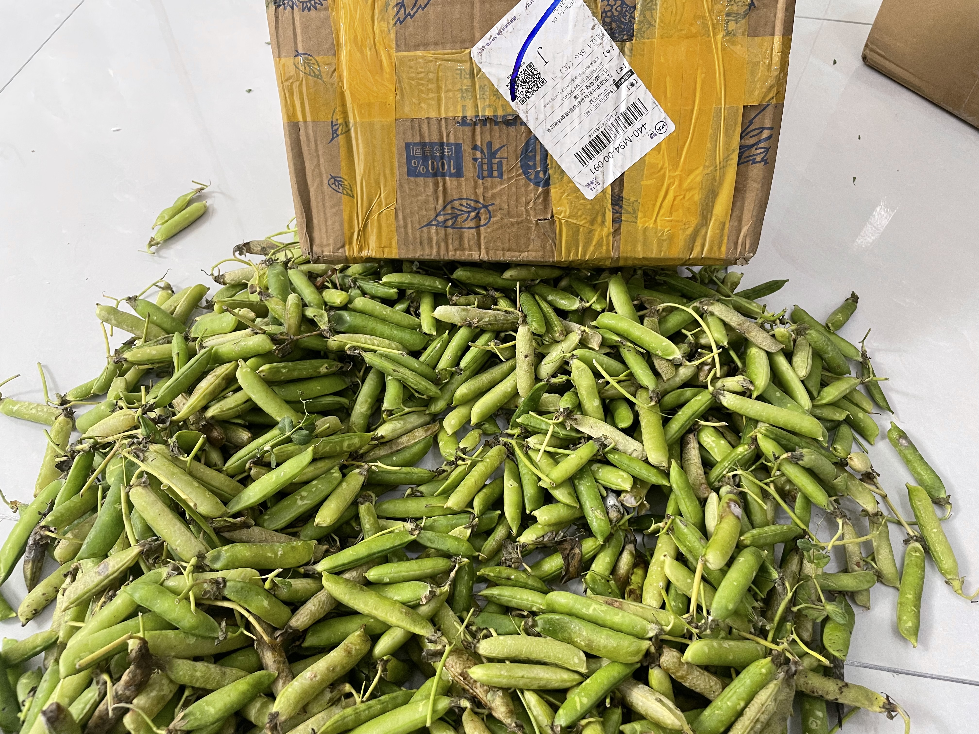中鲜生 云南新鲜豌豆 甜豌豆新鲜蔬菜现摘豆角 净重9斤装【90%回购】鲜嫩饱满 实拍图