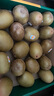 佳沛（zespri）新西兰 新果季 阳光金奇异果10粒巨大果单果146-175g 猕猴桃 实拍图