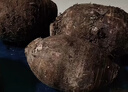 生鲜密语广西荔浦芋头 地标农产品 正宗荔浦芋 新鲜香芋 火锅食材生鲜蔬菜 【大芋】2-4个4斤 净重3.9斤 1份装（芋香浓郁） 实拍图