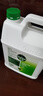 滴露（Dettol）消毒液5L大桶装消毒水家用商用工业车间酒店物业衣物环境消毒杀菌 实拍图