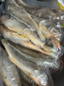 三都港 冷冻海捕小黄鱼700g 24-29条 黄花鱼 深海鱼 生鲜 鱼类 烧烤食材 实拍图