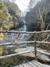 开拓者峰精灵6系 登山杖徒步越野跑步折叠手杖碳素超轻户外拐杖105cm 实拍图