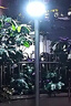 湘哲太阳能照明灯户外人体感应太阳能灯庭院灯家用路灯 1500-W+5米线 实拍图