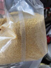 十月稻田内蒙古黄小米5斤 京东产品溯源 小米黄小米 早餐 粥杂粮 节日送礼 实拍图