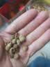 修年堂覆盆子100g 覆复盆子干茶树莓干果泡酒颗粒饱满覆盆莓男人女人茶 实拍图