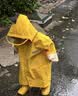 Lemonkid儿童雨衣连体男女童防水全身中小童幼儿园小孩卡通雨披 实拍图