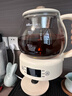 小熊（Bear）煮茶器喷淋式全自动保温养生壶家用小型恒温电茶炉电水壶普洱黑茶一人蒸汽煮茶壶办公室桌面泡茶壶 米色（微电脑款）ZCQ-A10W5 1L 实拍图