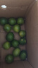 广西塔希提无籽青柠檬薄皮新鲜现摘青柠香水柠檬【百补优选】 【20个】塔希提青柠檬 单果净重50g 实拍图