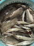 川泽伊豆绑好子线双钩成品鱼钩套装金海夕仕挂鲫鲤鱼翘嘴小鱼钩鳊鱼钩 伊豆45CM【钩2线0.8+钩3线1.0】 各10付【共20付盒装】 实拍图
