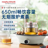 摩飞电器（Morphyrichards）【价保618】养生壶电陶炉煮茶器煮茶炉多功能围炉煮茶黑茶花茶泡茶蒸茶器不挑器具0.65L MR6083 白 实拍图