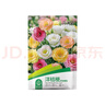 花沃里3款花种子套装2洋桔梗花重瓣凤仙花波斯菊种子庭院花卉种植7件套 实拍图