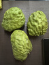 壹萌果蔬释迦果新鲜【顺丰次日达】大目释迦果番荔枝泰国热带水果节日送礼 5斤臻品果【单果250g+】净重4.5斤 实拍图