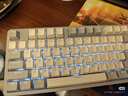 雷柏（Rapoo） V500PRO白蓝升级款 104键有线背光机械键盘 PBT双色键帽电脑办公游戏全键无冲可编程键盘 茶轴 实拍图