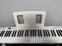 特伦斯折叠钢琴88键便携式电钢琴成人儿童电子琴重力度键盘V30pro钢琴 时尚白+专用琴包+Z琴架 实拍图